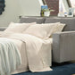 Altari Sofa Sleeper