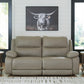 Narwhal Place Reclining Loveseat