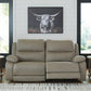 Narwhal Place Reclining Loveseat
