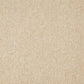 Macsen Pillow (Set of 4)