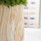 Cammen Vase