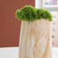 Cammen Vase