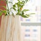 Cammen Vase