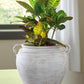 Meadie Vase