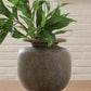 Jedwick Vase