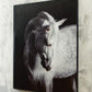 Archerwick Wall Art