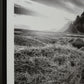 Delstone Wall Art
