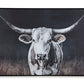 Harlandale Wall Art