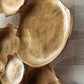 Gageton Wall Decor