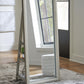 Evesen Floor Standing Mirror/Storage