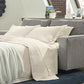 Altari Sofa Sleeper