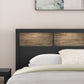 Broachmyn Bed