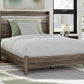 Elbrim Bed