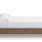 Fortlorn Bed