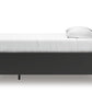 Lanolee Panel Storage Bed