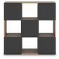 Shallifer Nine Cube Organizer