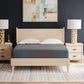 13 Inch Hybrid Hot Buy Mattress