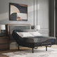 Millennium 2.0 Foam 14 Inch Mattress