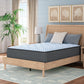 Destin Cove Plush Mattress