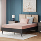 iKidz Coral Mattress and Pillow