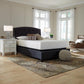 Chime 12 Inch Memory Foam Mattress in a Box