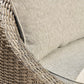 Danson Swivel Lounge with Cushion (Set of 2)