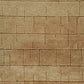 Luzmont Rug